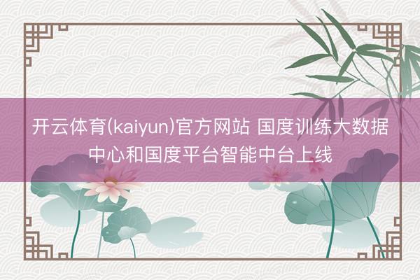 开云体育(kaiyun)官方网站 国度训练大数据中心和国度平台智能中台上线