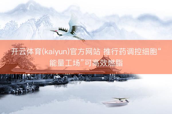开云体育(kaiyun)官方网站 推行药调控细胞“能量工场”可高效燃脂