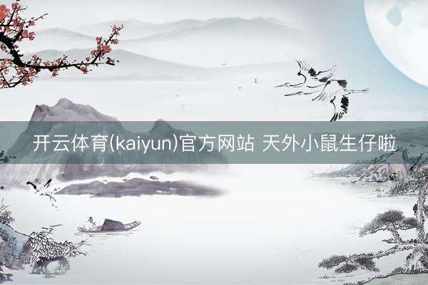 开云体育(kaiyun)官方网站 天外小鼠生仔啦