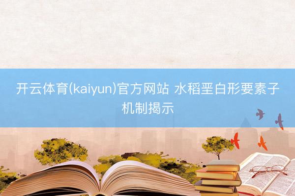 开云体育(kaiyun)官方网站 水稻垩白形要素子机制揭示