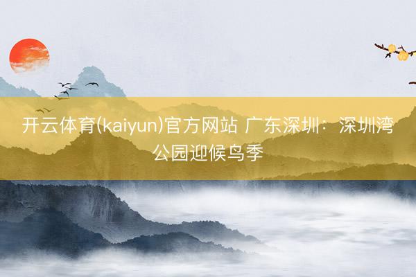 开云体育(kaiyun)官方网站 广东深圳：深圳湾公园迎候鸟季