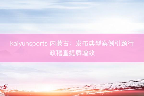 kaiyunsports 内蒙古:发布典型案例引颈行政稽查提质增效