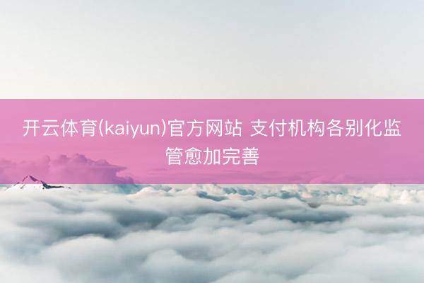 开云体育(kaiyun)官方网站 支付机构各别化监管愈加完善