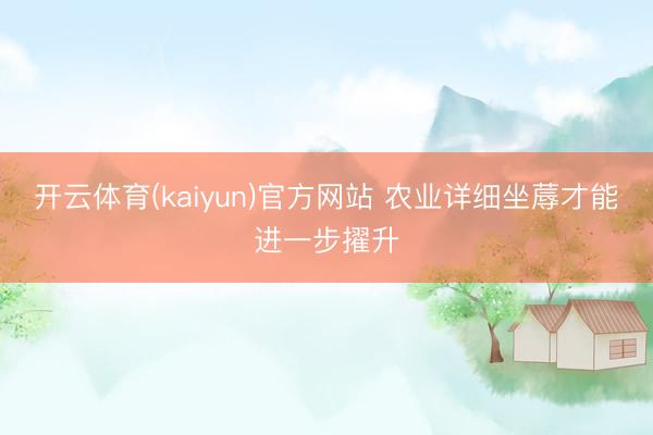 开云体育(kaiyun)官方网站 农业详细坐蓐才能进一步擢升