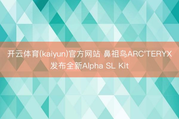 开云体育(kaiyun)官方网站 鼻祖鸟ARC'TERYX发布全新Alpha SL Kit