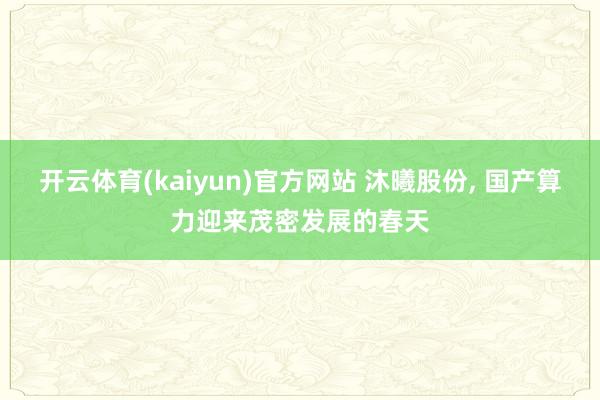 开云体育(kaiyun)官方网站 沐曦股份， 国产算力迎来茂密发展的春天