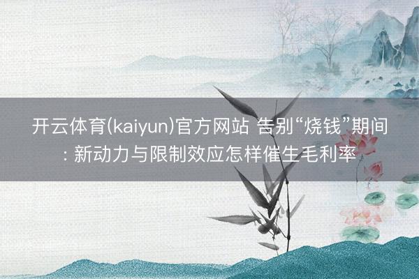开云体育(kaiyun)官方网站 告别“烧钱”期间: 新动力与限制效应怎样催生毛利率