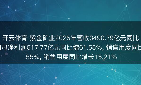 开云体育 紫金矿业2025年营收3490.79亿元同比增14.96%， 归母净利润517.77亿元同比增61.55%， 销售用度同比增长15.21%