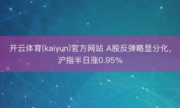 开云体育(kaiyun)官方网站 A股反弹略显分化，沪指半日涨0.95%