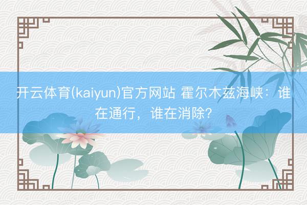 开云体育(kaiyun)官方网站 霍尔木兹海峡:谁在通行,谁在消除?