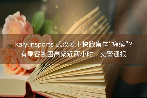 kaiyunsports 武汉萝卜快跑集体“瘫痪”?有乘客被困高架近两小时,交警通报