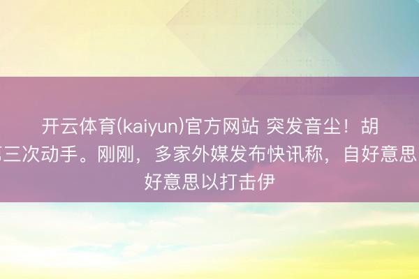 开云体育(kaiyun)官方网站 突发音尘！胡塞武装第三次动手。刚刚，多家外媒发布快讯称，自好意思以打击伊