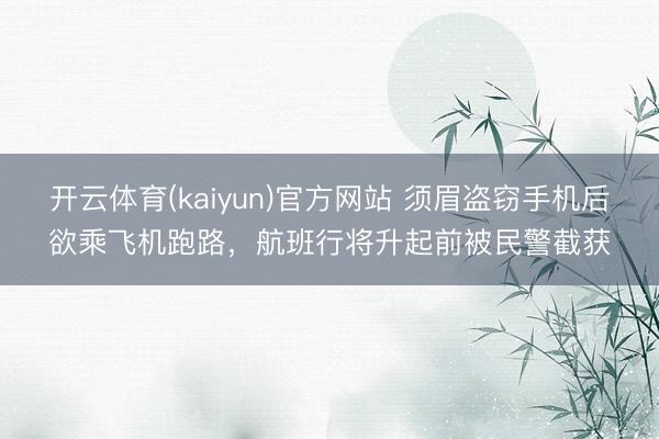 开云体育(kaiyun)官方网站 须眉盗窃手机后欲乘飞机跑路，航班行将升起前被民警截获