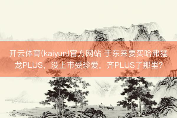 开云体育(kaiyun)官方网站 于东来要买哈弗猛龙PLUS,没上市受珍爱,齐PLUS了那里?