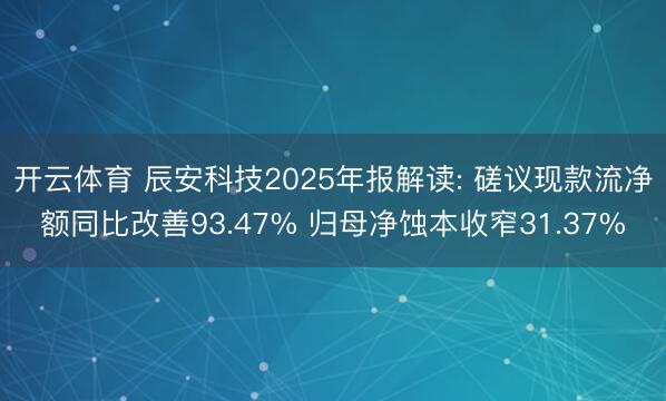 开云体育 辰安科技2025年报解读: 磋议现款流净额同比改善93.47% 归母净蚀本收窄31.37%