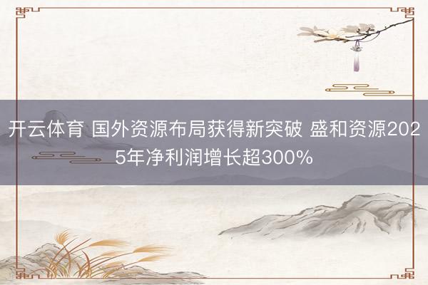 开云体育 国外资源布局获得新突破 盛和资源2025年净利润增长超300%